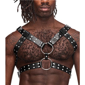 Gemini Harness